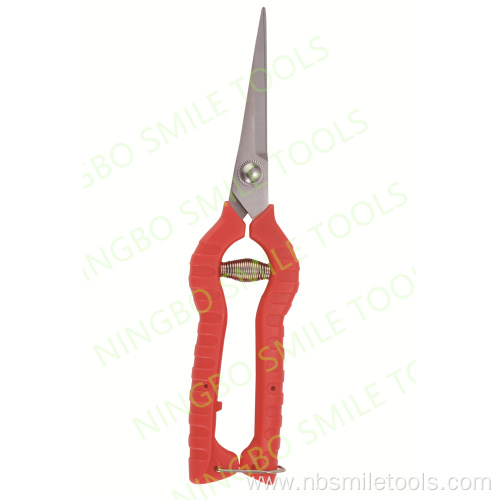 Mexico popular garden pruning shears picking fruit trees branches bonsai tools scissors picking fruit shears